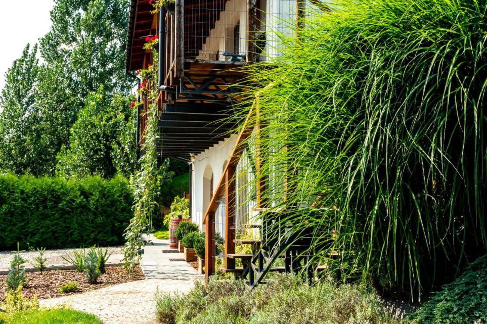 Winnica Płochockich Barbara Płochocka - 6